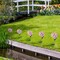 2 Pcs Solar Flowers LED Light Outdoor Garden Yard Stake Solar Flower Lights